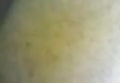از ﻿عکس سکسی عربی قطب تا حمام و سپس به رختخواب